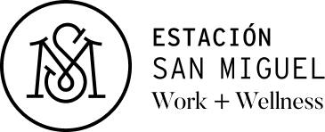 Estación San Miguel